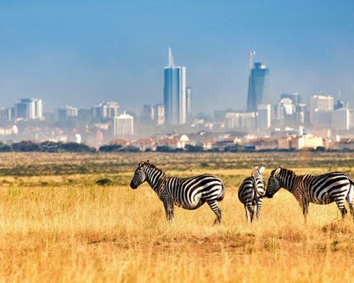 Nairobi-National-Park-700x450-1