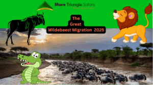 Wildebeest Migration 2025