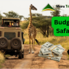 affordable masai mara migration packages