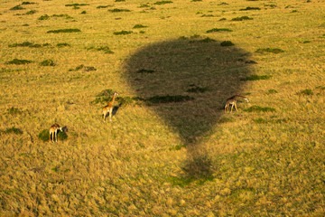 Mara Triangle Location