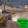 Ngorongoro Crater Safari