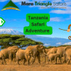 Tanzania Safari