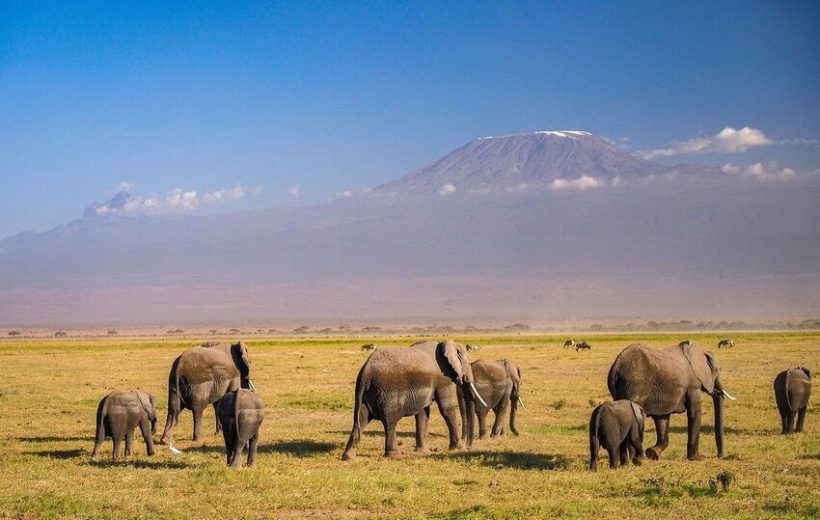 8 Days Kenyan Classic Tsavo, Amboseli and Mara