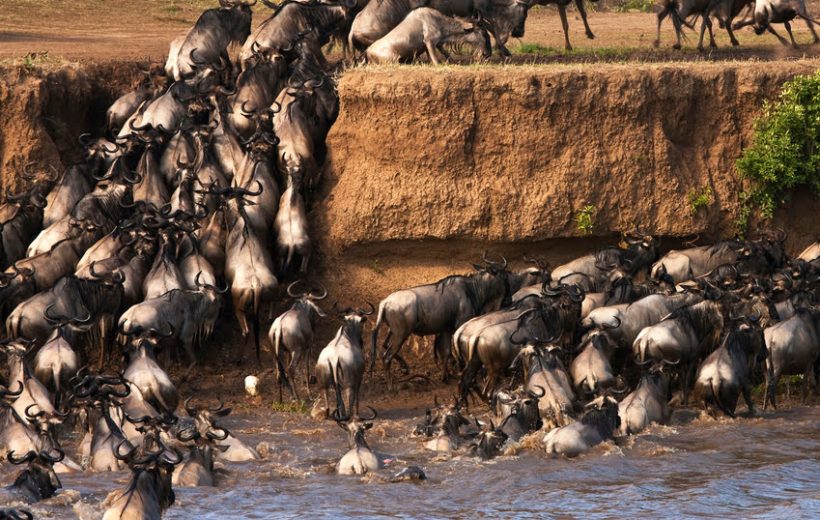 5 Days Perfect Mara Nakuru