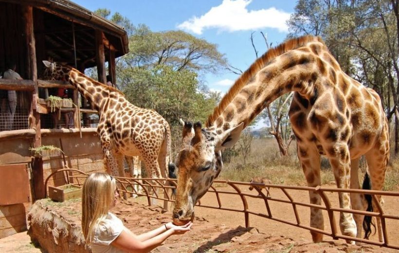 Nairobi Full Day Excursion