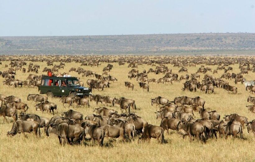 3 Days Kenya Budget Group Safari Land-cruiser