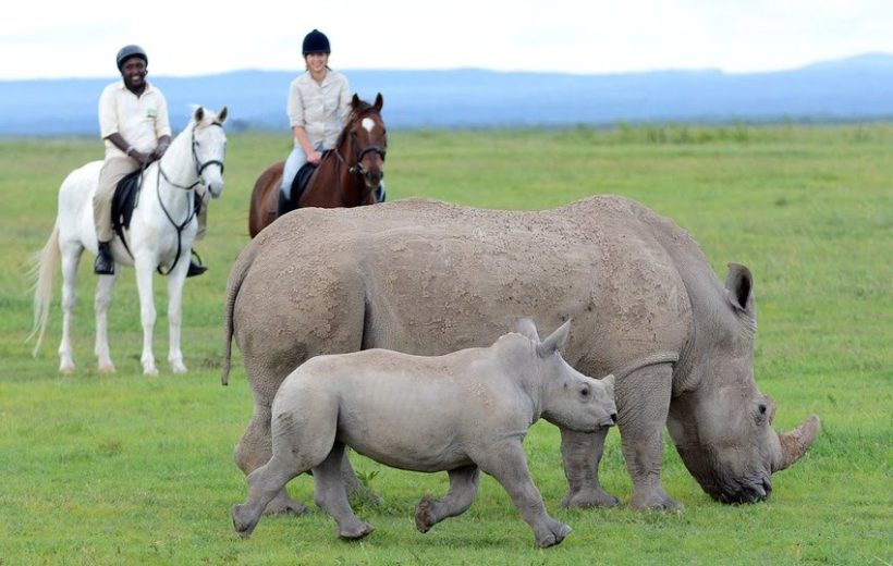 2 Days Private Ol Pejeta