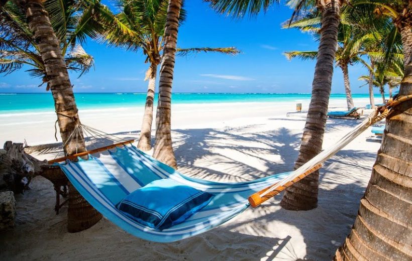 16 Days bush and beach safari