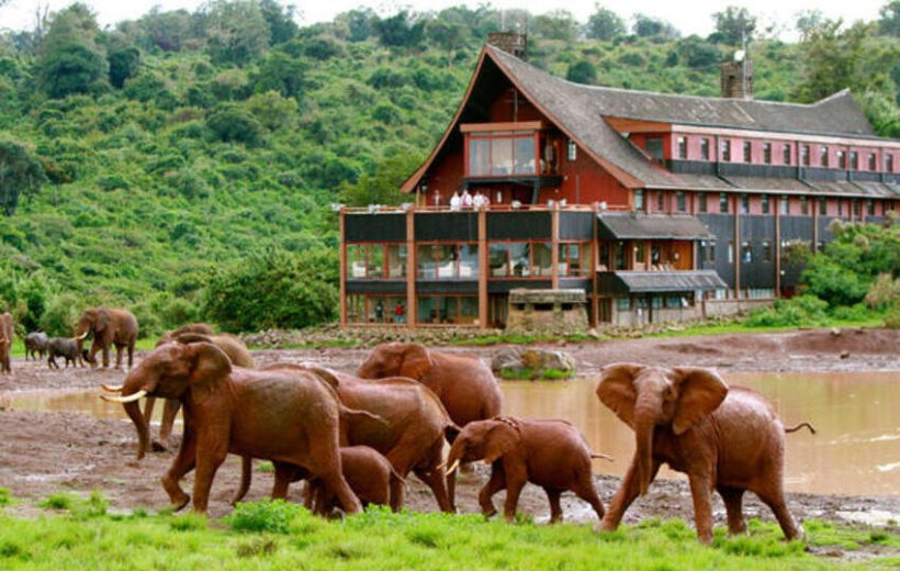 3 Days Kenya Budget Group Safari Land-cruiser