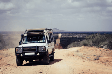 Kenya Safari in January