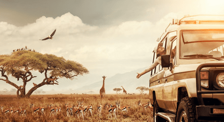 African Safari Cost Per Person