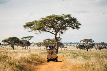 Best Time For a Kenya Safari in 2026