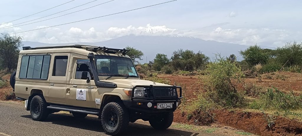 Top 10 Reasons to Visit Masai Mara in January to March