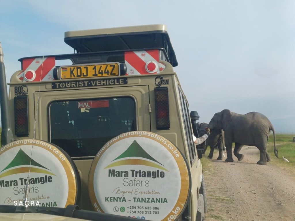 Kenya Safari in 2026