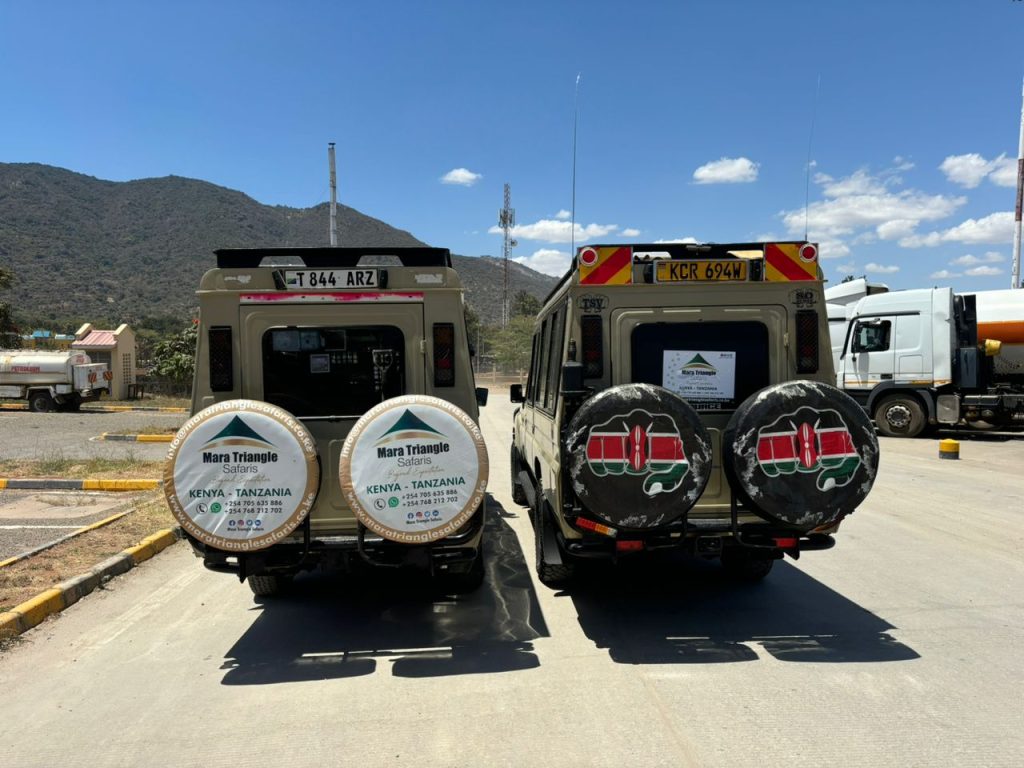 Kenya Safari in 2026