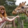 Best Kenya Safari