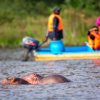 Boat Safaris Kenya