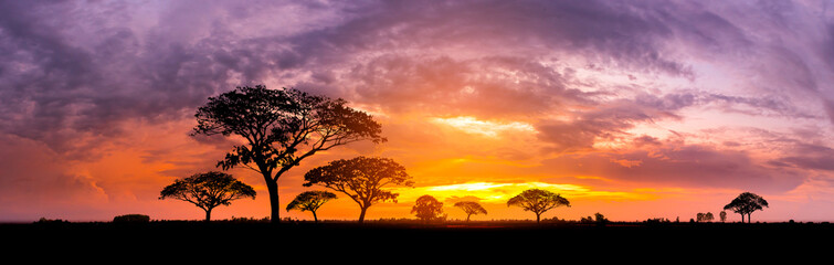 Kenya Safari in 2026