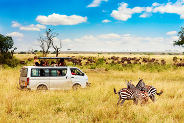Kenya’s Best Time to Visit in 2026: Mara Triangle Safaris Month-by-Month Breakdown