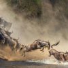 Masai Mara on the Map: Key Locations to Visit