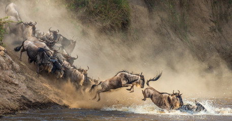 Masai Mara on the Map: Key Locations to Visit