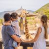 How to Plan a Family-Friendly Safari in Kenya in 2026