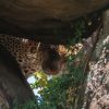 Top 10 Hidden Gems in Kenya for Safari Enthusiasts in 2026