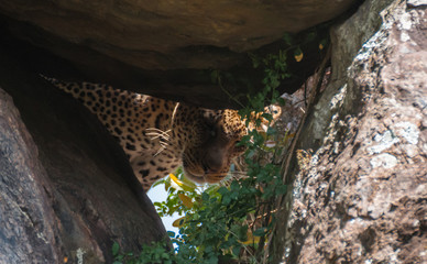 Top 10 Hidden Gems in Kenya for Safari Enthusiasts in 2026