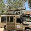 How to Enjoy a Beach Holiday with a Safari in Kenya in 2026