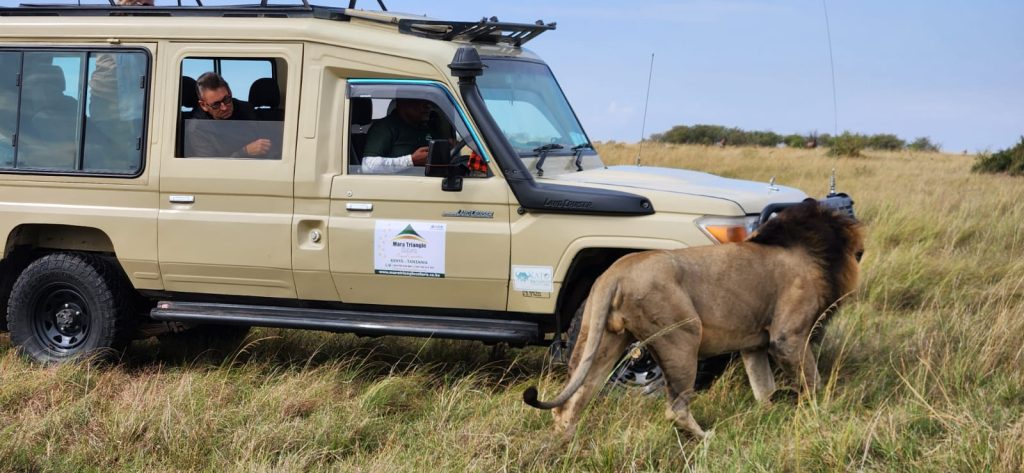 Get in touch with us today and let's start planning your unforgettable Kenya safari in February!