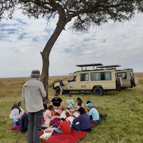 How to Plan a 7-Day Kenya and Tanzania Safari With Mara Triangle Safaris