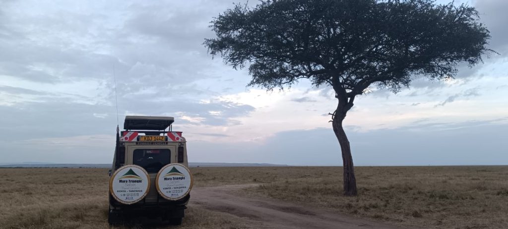 Great Migration Kenya Map Mara Triangle Safaris