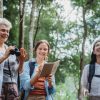 Best Eco-Friendly Safari Experiences to Try in 2026