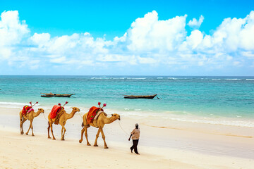 10 Best Beaches in Kenya to Visit After Your Safari: Mara Triangle Safaris Top Picks