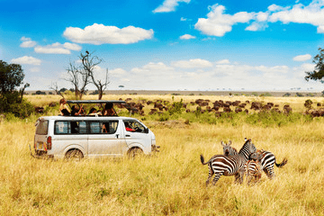 Kenya Safaris in December