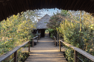 Kenya Safaris in December