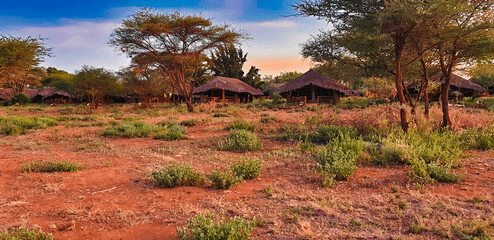 Best Kenya Safari