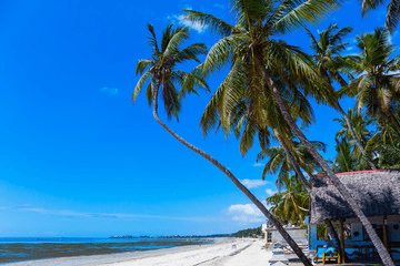 Kenya Safaris in December