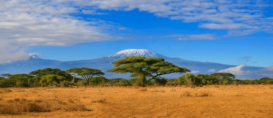 African Safari Cost Per Person