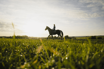 Best Kenya Horseback Safari