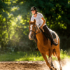 Horseback Safari Bantu Mountain Lodge