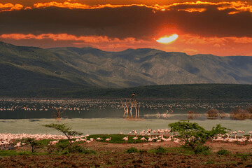 Boat Safaris in Kenya