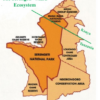 Maasai Mara vs Serengeti: Which Safari Is Better in 2026? | Mara Triangle Safaris