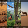 Weirdest Animals in East Africa Savanna, Mountains, Forests & Deserts Mara Triangle Safaris