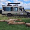 Kenya Safari in March: Good or Bad? Real Answers for 2026