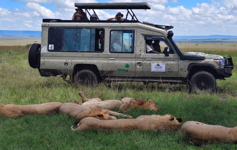 3 Days / 2 Nights Maasai Mara Flying Safari