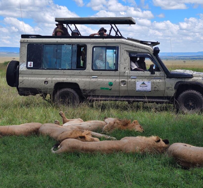 Kenya Safari in March: Good or Bad? Real Answers for 2026