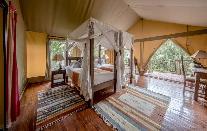 ashnil-mara-camp with mara triangle safaris4
