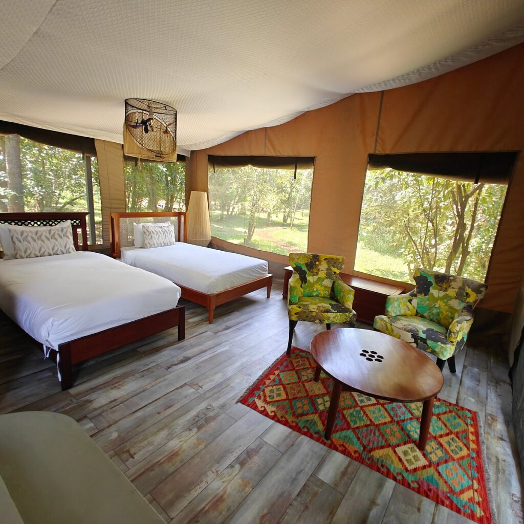 olive bush camp 2