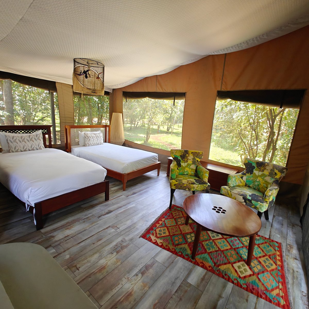 olive bush camp 2